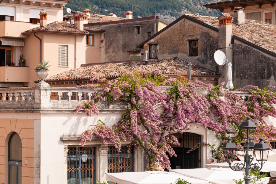 Concorso Balconi e Vetrine rosa Aspettando il Giro d’Italia