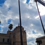 Tagliati i rami secchi delle palme di piazza Vittorio Emanuele