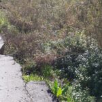 Fiumi: la Regione finanzia i lavori urgenti sul Vallone Canizzaro a Monreale