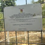 Controlli sul territorio e gabbie di cattura per cinghiali e bovini: al via le operazioni per la sicurezza a Monreale