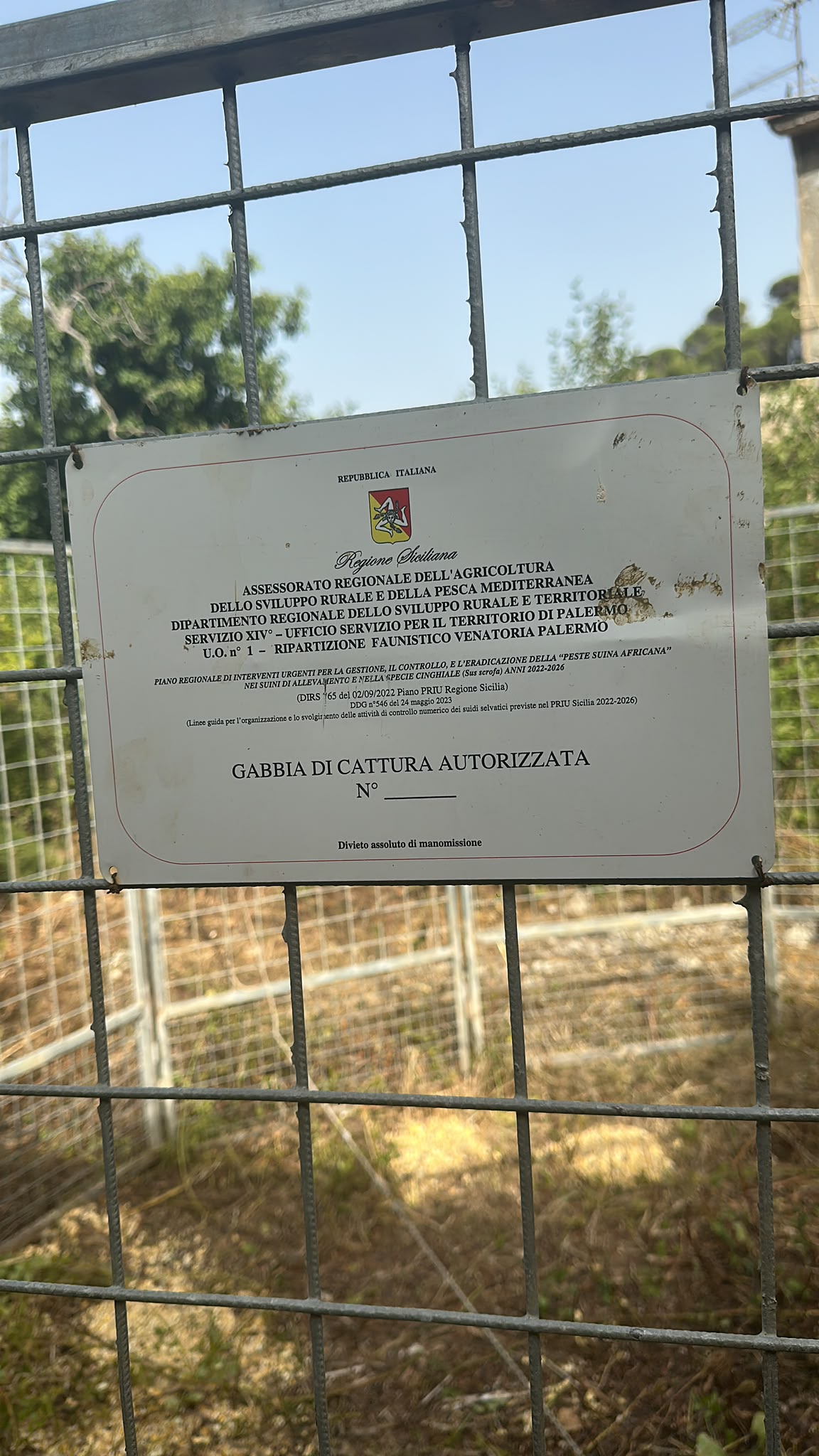 Controlli sul territorio e gabbie di cattura per cinghiali e bovini: al via le operazioni per la sicurezza a Monreale