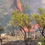 Incendio a San Martino delle Scale: l’assessore Bartolo Belmonte condanna duramente il grave gesto di irresponsabilità
