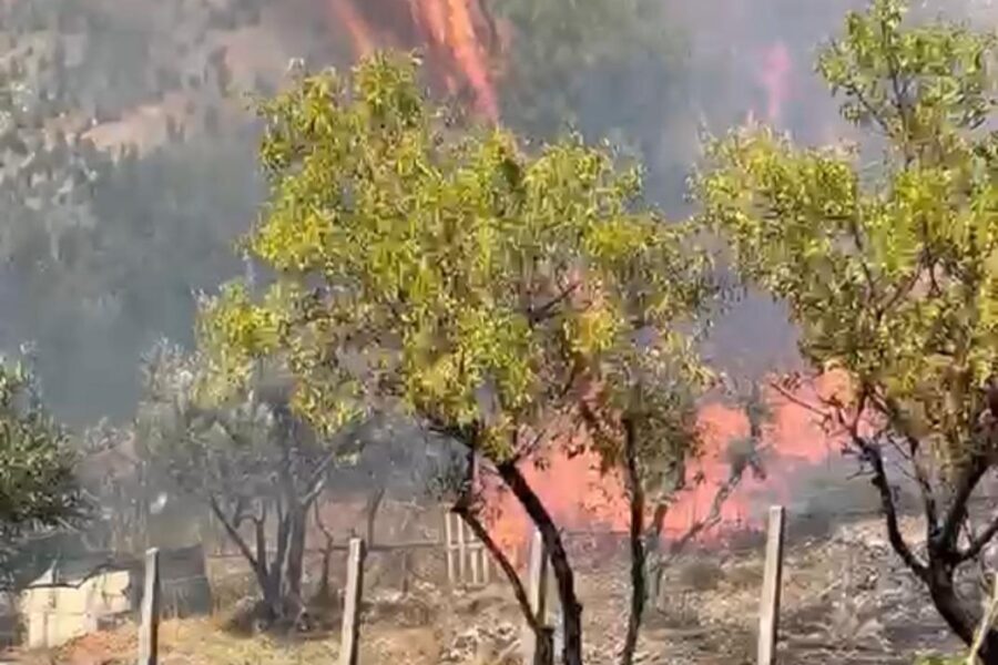 Incendio a San Martino delle Scale: l’assessore Bartolo Belmonte condanna duramente il grave gesto di irresponsabilità